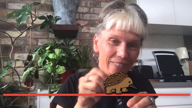 Fiona Katauskas to provide cartoon witticisms in The Echidna ahead of the federal election | March 16, 2022 | ACM