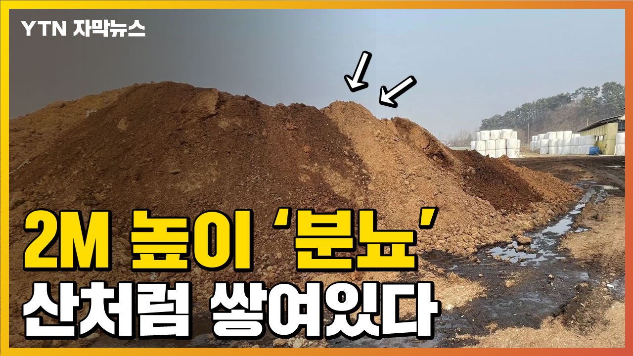 [자막뉴스] 산처럼 쌓인 분뇨..."서산농장서 수백 톤 불법 방치" / YTN