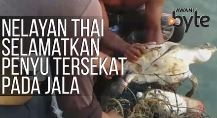#AWANIByte: Nelayan Thailand bantu selamatkan penyu tersekat pada jala ikan terpakai