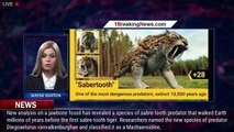 Newly Discovered Sabre-Tooth Predator Is Millions of Years Older Than Tigers - 1BREAKINGNEWS.COM