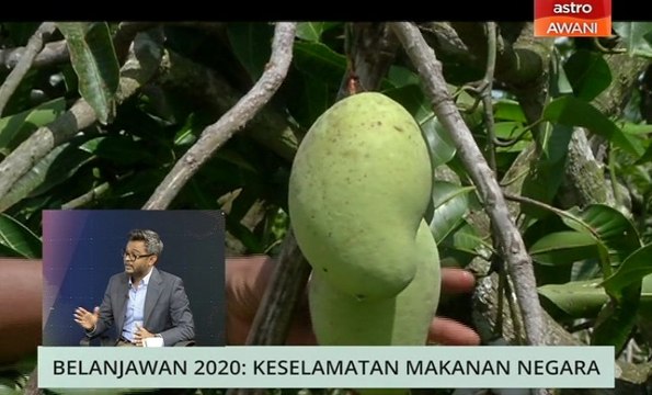 Niaga AWANI: Belanjawan 2020 - Keselamatan makanan negara