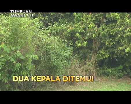 Tumpuan AWANI 7:45 - Dua kepala ditemui & Sarawak terima peruntukan terbesar