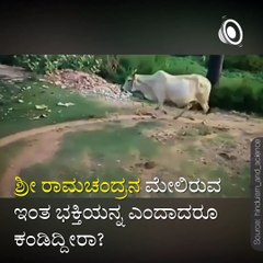 Watch A Wonderful Love Of Gau Mata Towards Lord Rama.