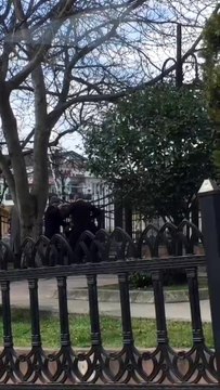 Şehrin göbeğinde yaşlıların kavgası kameralara yansıdı