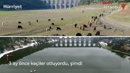 Keçiler gitti, sandallar geldi! İstanbul'un barajlarında son durum