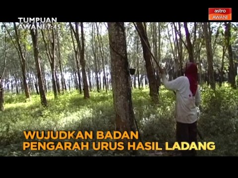 Tumpuan AWANI 7:45 - Wujudkan badan pengarah urus hasil ladang