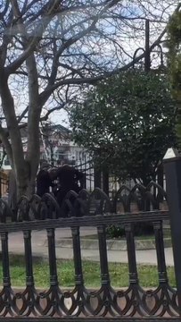 Şehrin göbeğinde yaşlıların kavgası kamerada