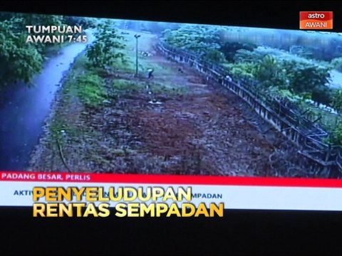 Tumpuan AWANI 7:45 - Penyeludupan rentas sempadan
