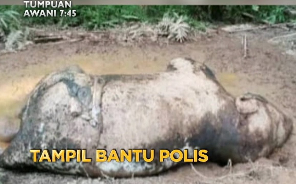 Tumpuan 7.45: Faedah persaraan dilindungi & tampil bantu polis