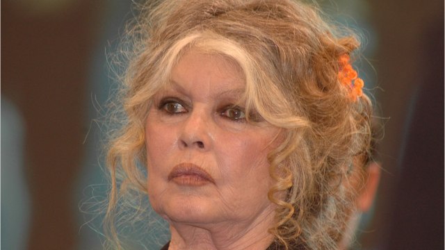 FEMME ACTUELLE - C'est indécent : Brigitte Bardot pousse un coup de gueule contre l'Europe et à l'inaction en Ukraine