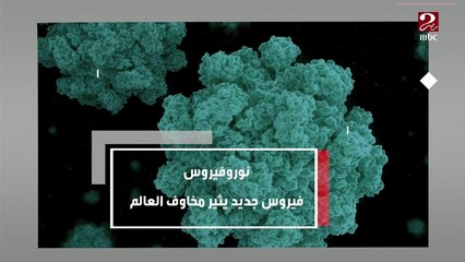 نوروفيروس ..فيروس جديد يثير مخاوف العالم