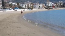 Turistin sahile vuran deniz analarını kurtarma çabası