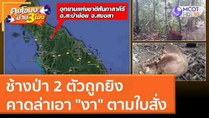 ช้างป่า 2 ตัวถูกยิง คาดล่าเอา "งา" ตามใบสั่ง (16 มี.ค. 65) คุยโขมงบ่าย 3 โมง