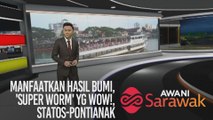 AWANI Sarawak [26/10/2019] - Manfaatkan hasil bumi, 'Super Worm' yg wow!, Statos-Pontianak