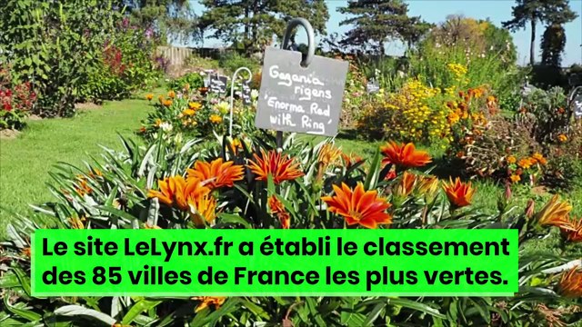 Espaces verts : quelles sont les villes les plus (et les moins) vertes de France