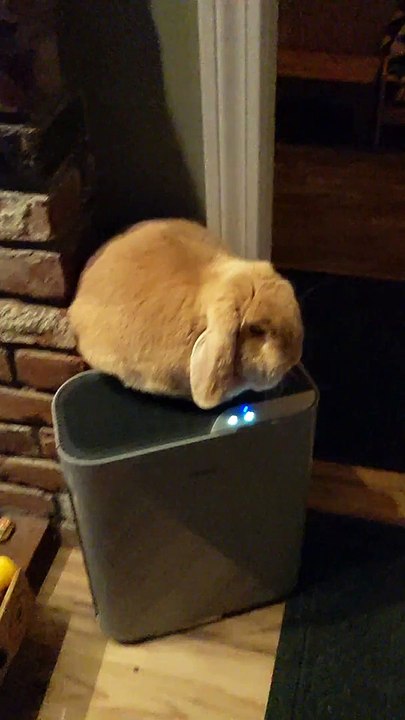 Zero Fluffs Given