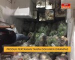 Produk pertanian tanpa dokumen dirampas