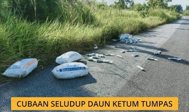 Cubaan seludup daun ketum tumpas