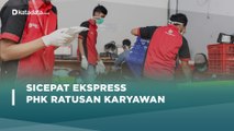 Permintaan Maaf SiCepat Ekspress PHK Ratusan Karyawan | Katadata Indonesia