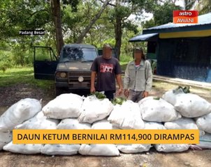 Daun ketum bernilai RM114,900 dirampas