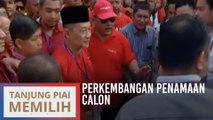 PRK Tanjung Piai: Perkembangan penamaan calon