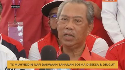 TS Muhyiddin nafi dakwaan tahanan SOSMA diseksa & diugut