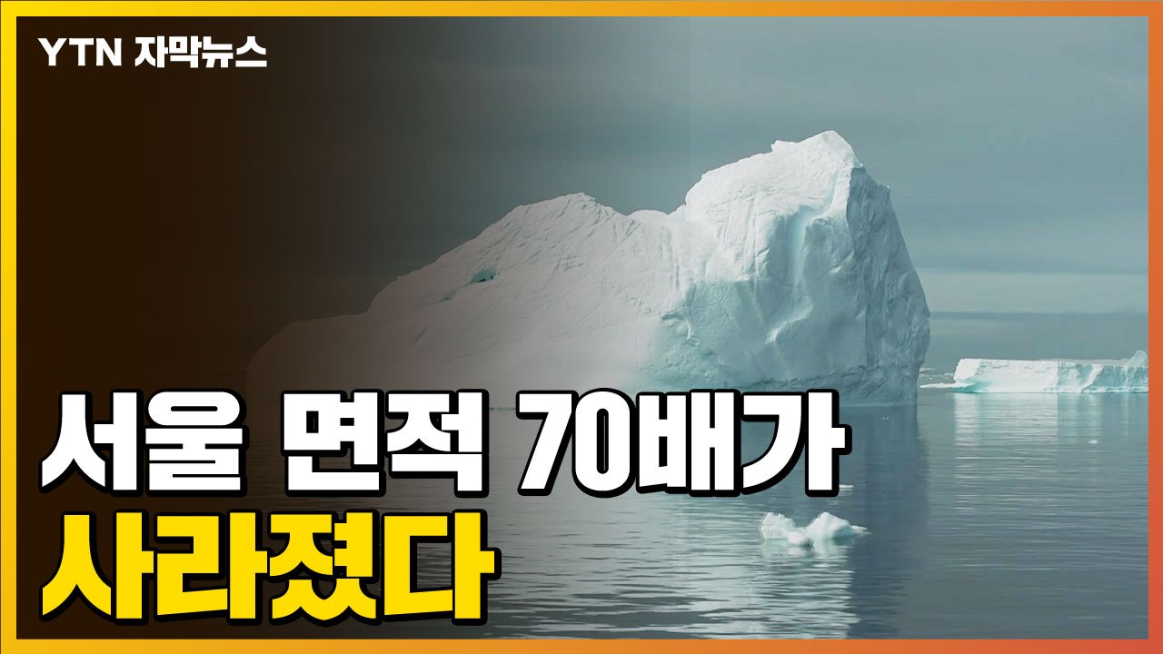[자막뉴스] 서울 면적 70배 얼음 사라져...펭귄 무더기로 발견된 곳 / YTN
