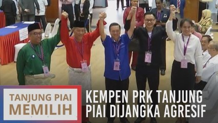 Penganalisis: Kempen PRK Tanjung Piai dijangka agresif