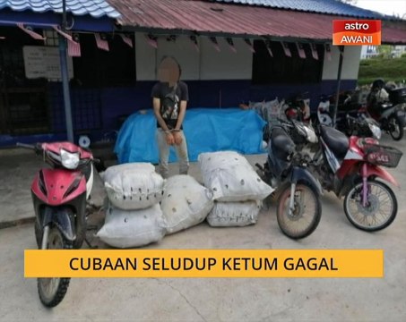 Cubaan seludup ketum gagal