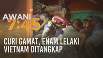 Curi gamat, enam lelaki Vietnam ditangkap