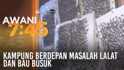 Kampung berdepan masalah lalat dan bau busuk