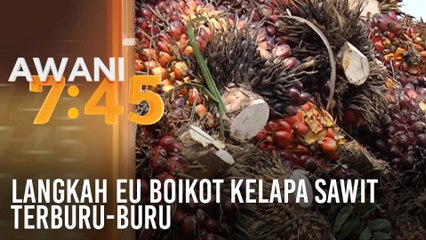 Langkah EU boikot kelapa sawit terburu-buru