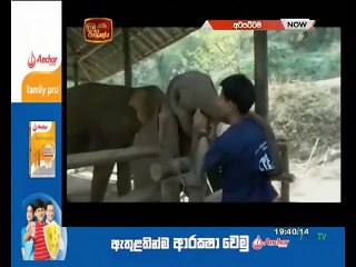 Atapattama 2022.03.16