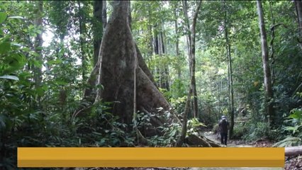 Jauhi sukan lasak ketika musim tengkujuh