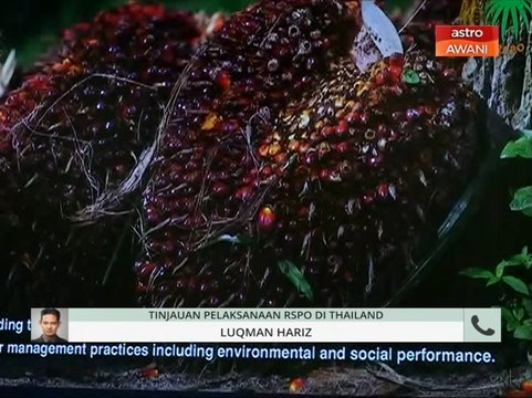 Niaga AWANI: Tinjauan pelaksanaan RSPO di Thailand