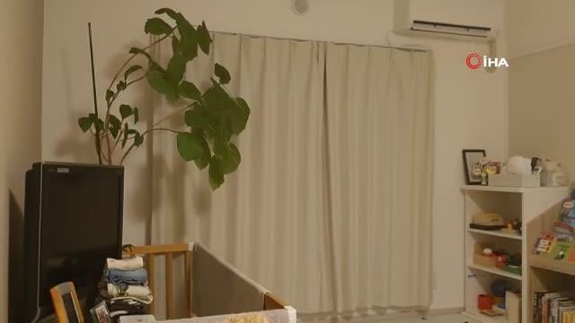 Japonya'da merkez üssü Fukushima eyaleti olan 7.3 büyüklüğünde deprem meydana geldi. Fukushima ve Miyagi eyaletleri için tsunami uyarısı yapıldı.