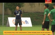 Kelayakan Piala Asia: Bagaimana corak kesebelasan skuad negara?