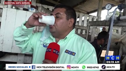 ¡ATENCIÓN IMPOTENTES! Aseguran que en esta bebida está la solución para que "el muñeco se les pare"