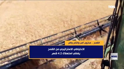 القمح.. مخزون آمن وإنتاج وافر