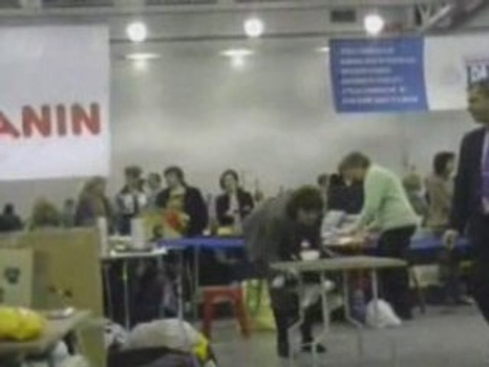 Dog Show EURASIA-2 24.02.2008 Moscow part 5