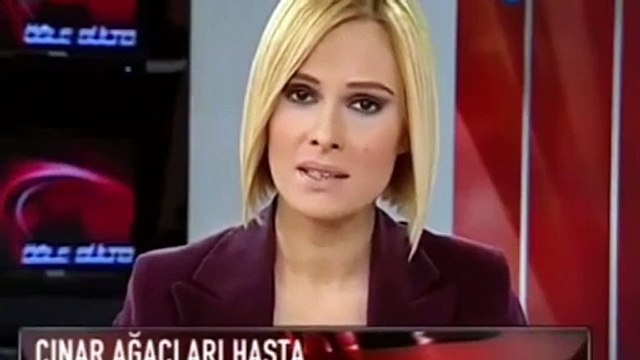 Erdoğan İBB ve Gezi'yi hedef almıştı! Hasta ağaçlar 2007'de de kesilmiş