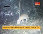 Rusa tikus Vietnam ditemui selepas 30 tahun hilang