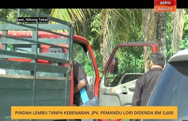 Pindah lembu tanpa kebenaran JPV, pemandu lori didenda RM3,600