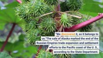 Russian lawmaker demands return of Alaska California fort and