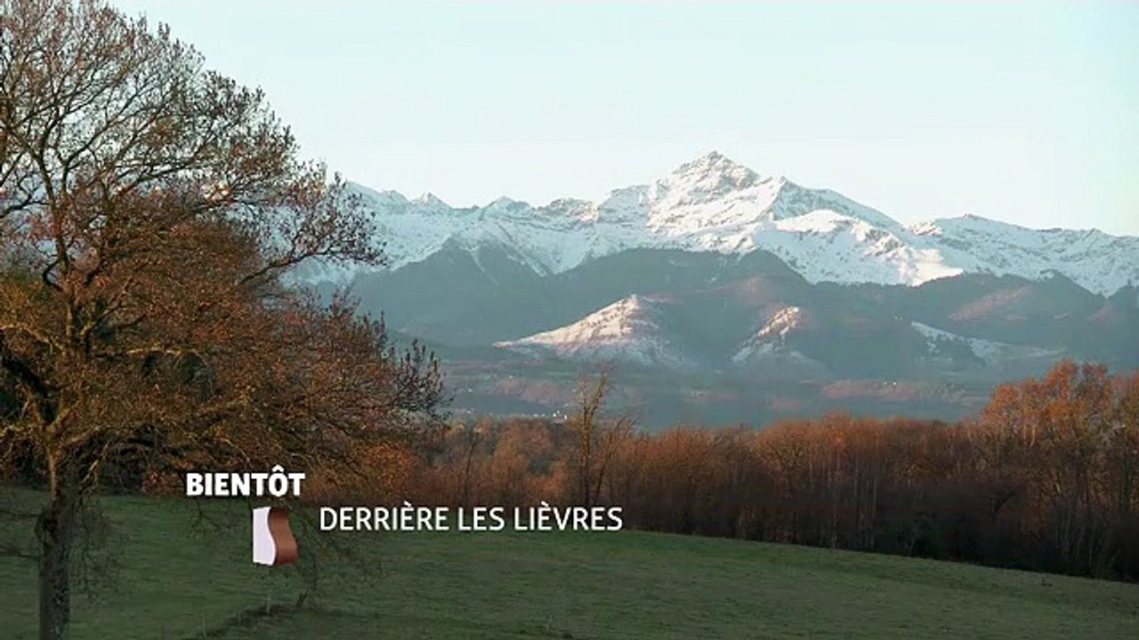 Derrière les lièvres