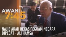 Najib arah bekas Peguam Negara dipecat - Ali Hamsa