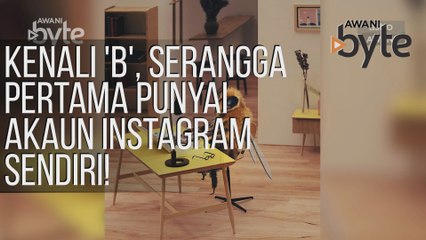 #AWANIByte: Kenali 'B', serangga pertama punyai akaun Instagram sendiri!