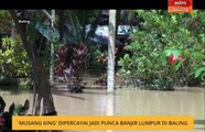 'Musang king' dipercayai jadi punca banjir lumpur di Baling