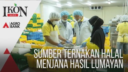 Ikon Agro: Sumber Ternakan Halal Menjana Hasil Lumayan