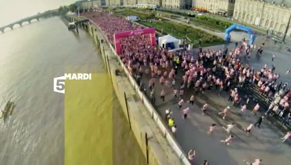 Au Nom de tous les seins